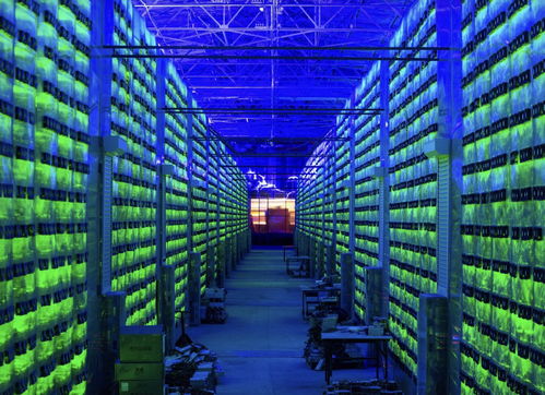 A large-scale mining farm showcasing rows of mining machines