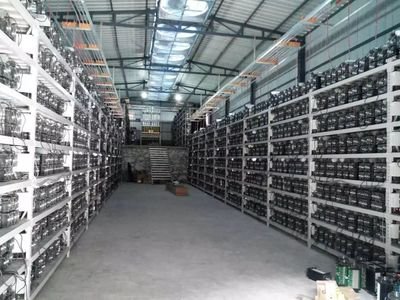 A modern mining farm utilizes advanced cooling technologies.