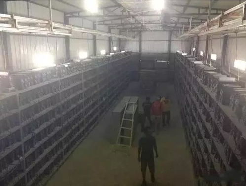 High-performance mining rigs deployed in decentralized hosting environments
