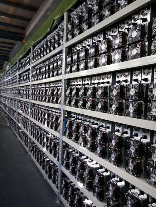 ASIC mining rig operating in a mining farm environment