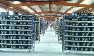 Mining rig facilities equipped for multi-currency mining